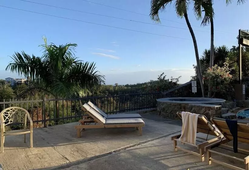 هتل Lazy Parrot Inn