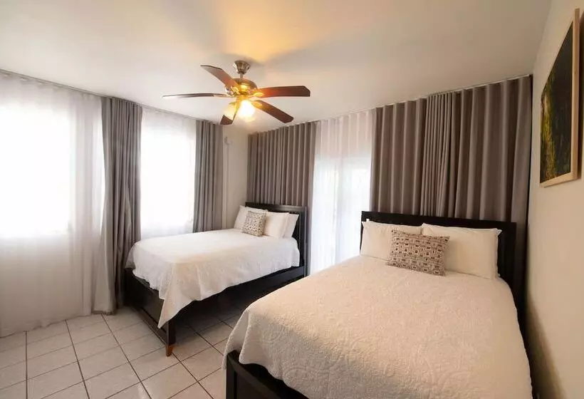 هتل Lazy Parrot Inn