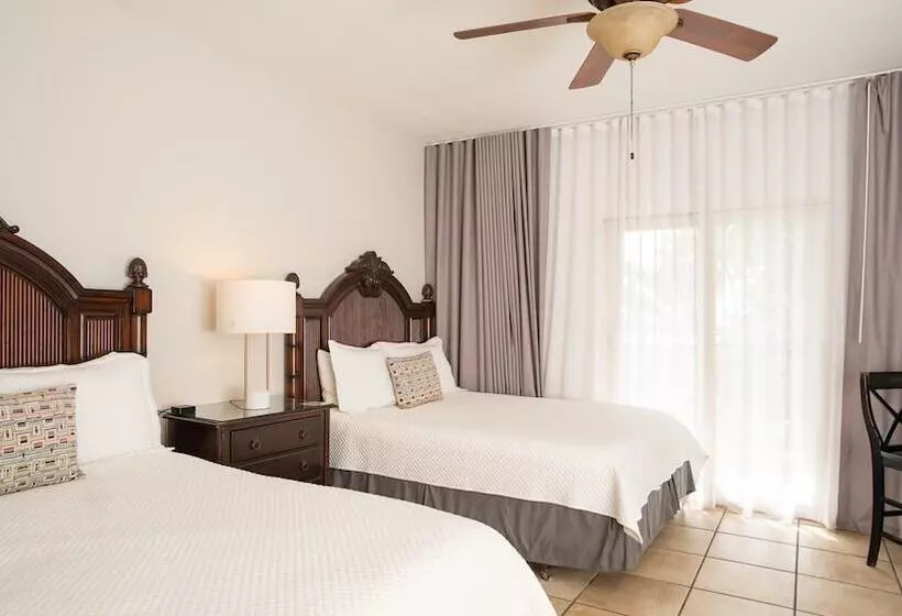 هتل Lazy Parrot Inn