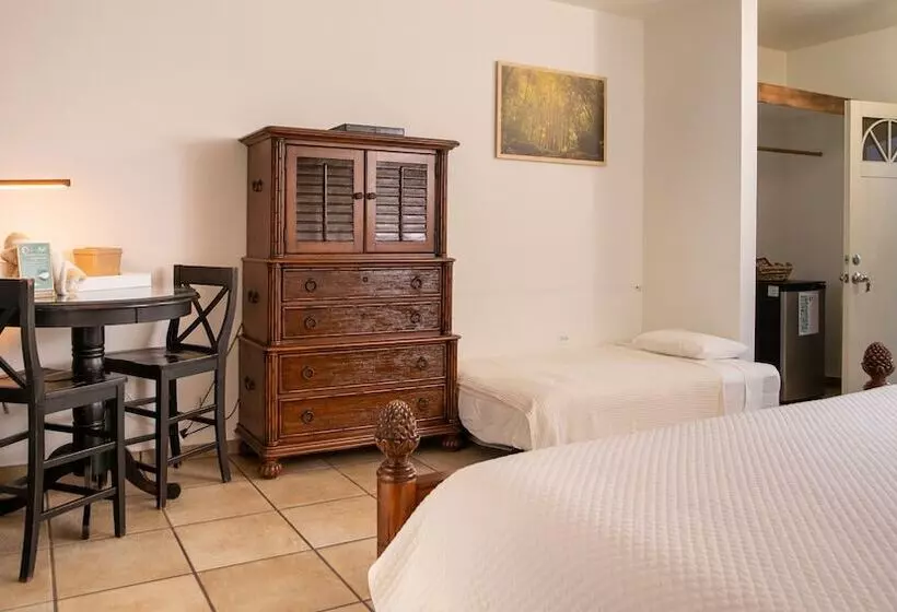 هتل Lazy Parrot Inn