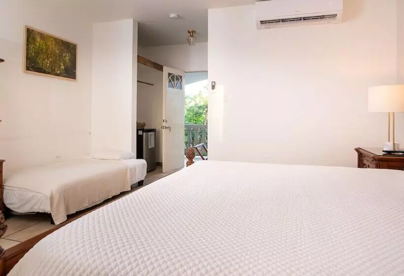 هتل Lazy Parrot Inn