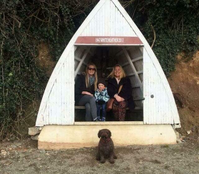 Bed and Breakfast Alderberry Lodge