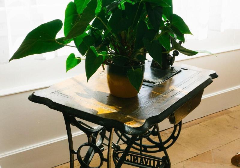 צימר Vanille Bourbon