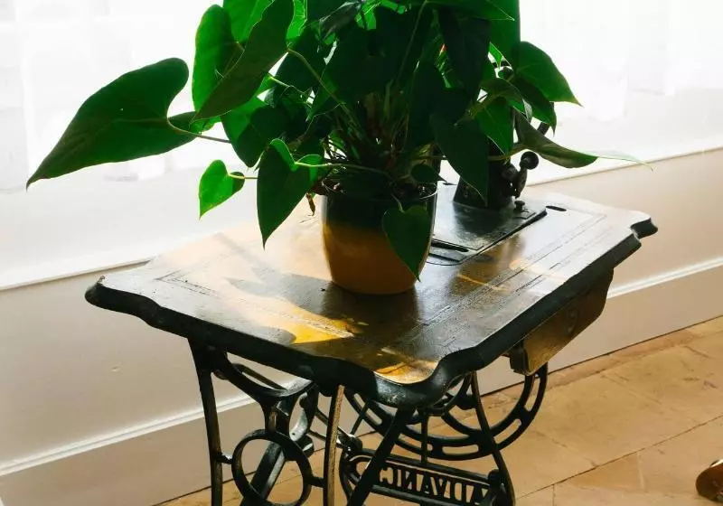 Aamiaismajoitus (B&B) Vanille Bourbon