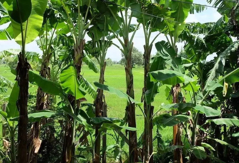 ホテル Ai Kham Nonghan View