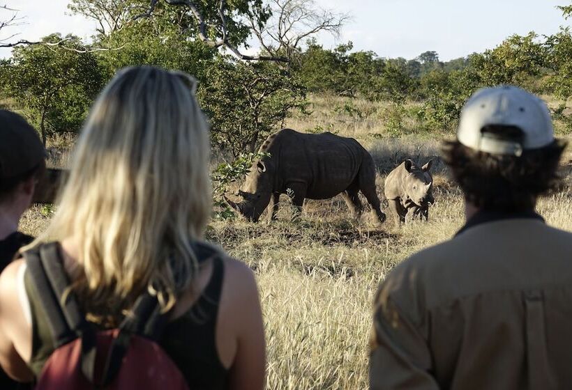 Jollyboys Camp Hostel