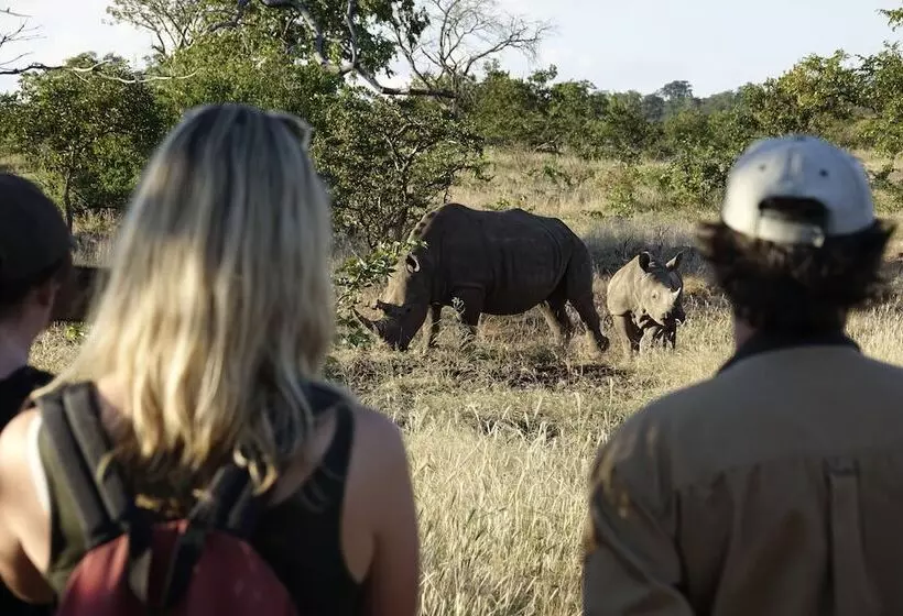 Jollyboys Camp   Hostel