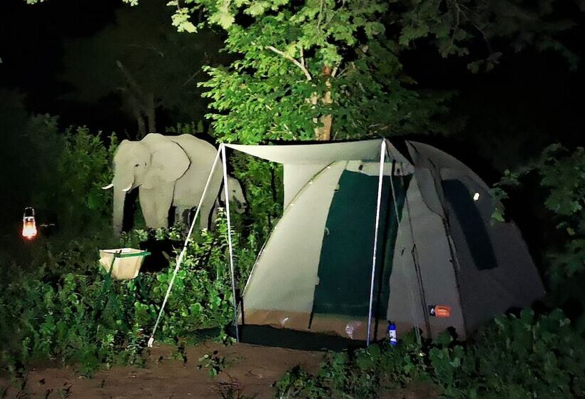 Jollyboys Camp Hostel