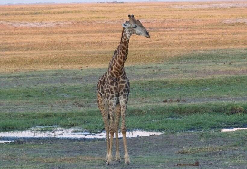 Jollyboys Camp Hostel