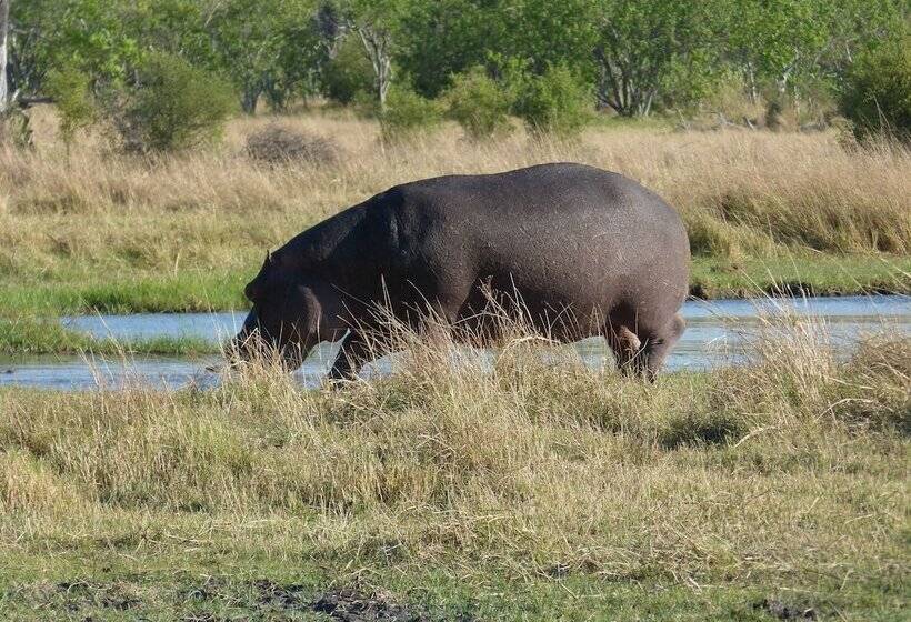 Jollyboys Camp Hostel