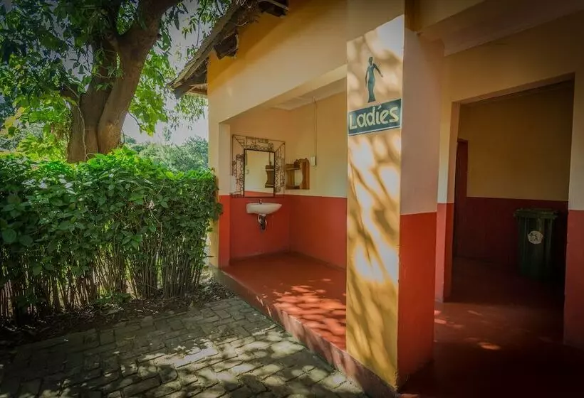 Jollyboys Camp   Hostel