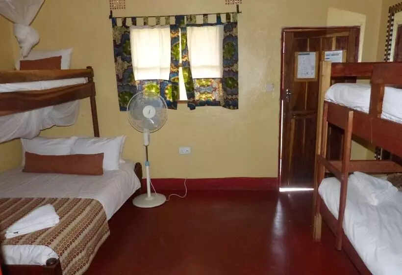 Jollyboys Camp   Hostel