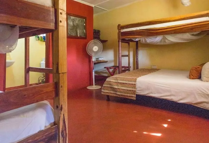 Jollyboys Camp   Hostel