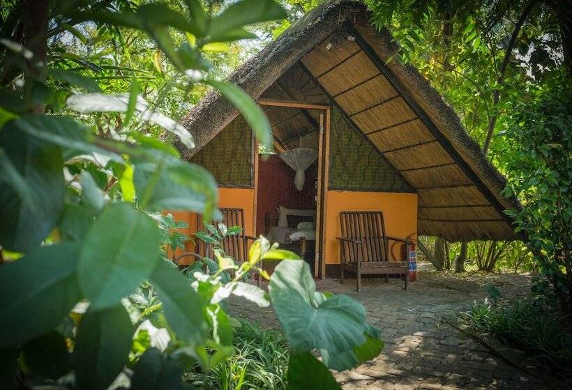 Jollyboys Camp Hostel