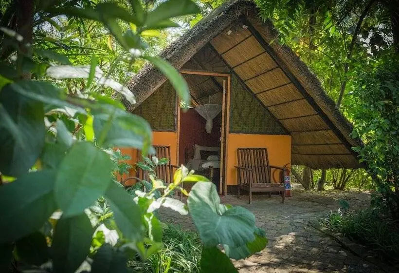 Jollyboys Camp   Hostel