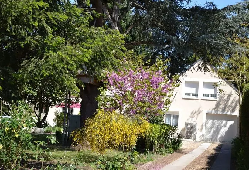 Pension  Chambres D Hôtes La Maison Des écureuils