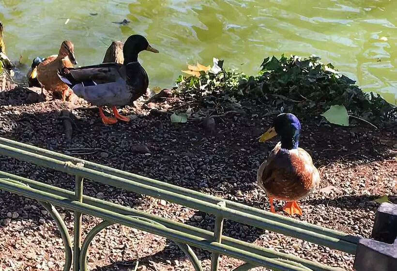 ペンション Hôtes De Libourne