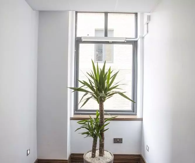 Stayocity Suites