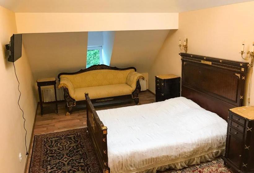 Общежитие вілла графа