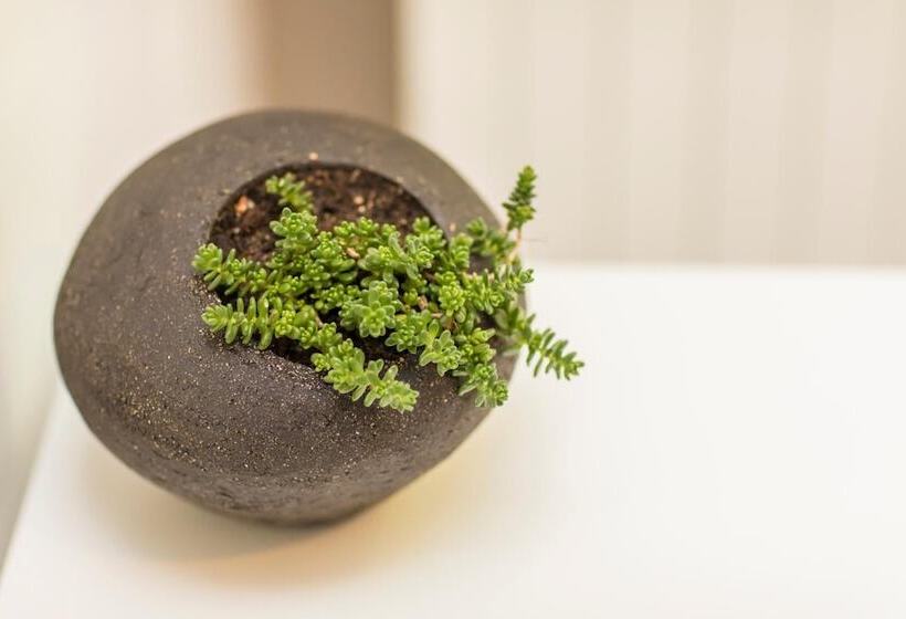 فندق Hôtel La Cauquière