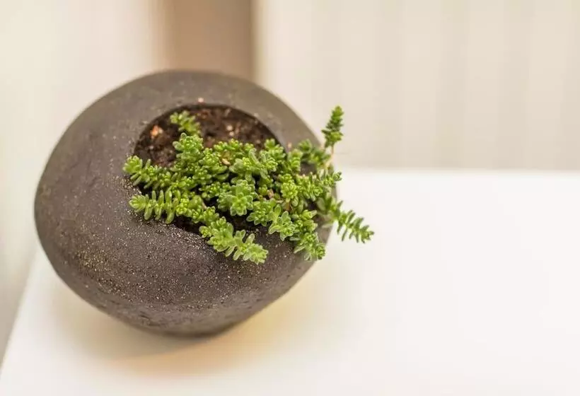 Hotelli Hôtel La Cauquière