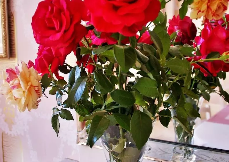 Majatalo Villa Madeleine  Bordeaux