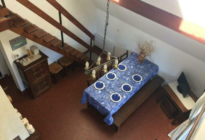 Vacances à La Mer La Turballe Ajonc