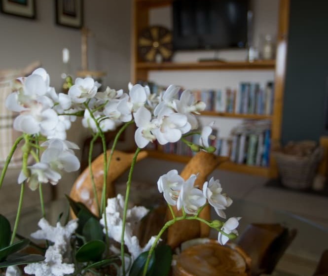 مبيت وإفطار Davar