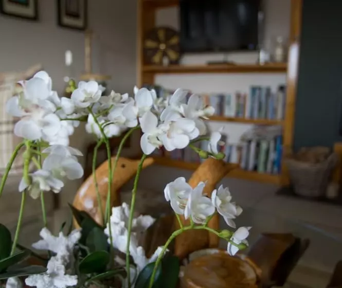 Aamiaismajoitus (B&B) Davar