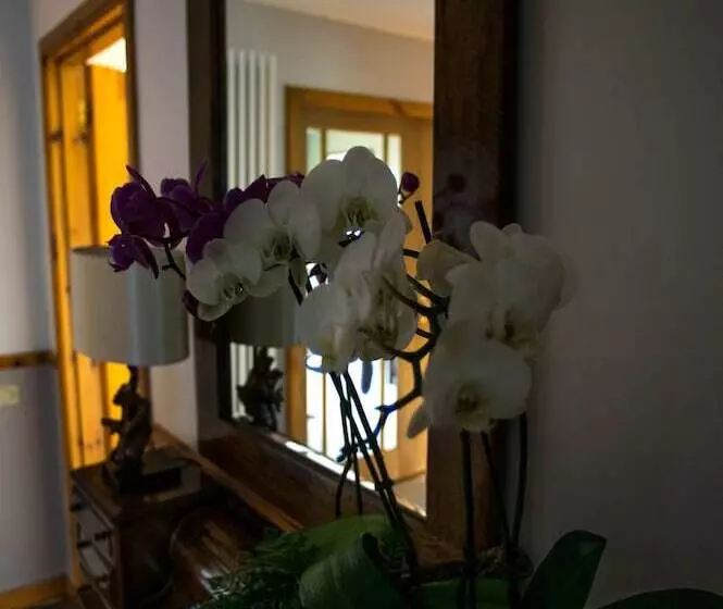 Aamiaismajoitus (B&B) Davar