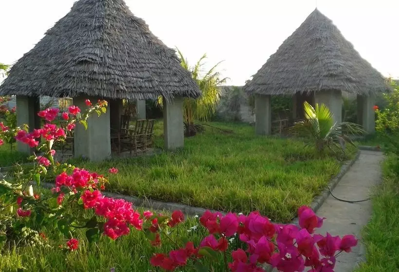 ホテル Paipai Zanzibar