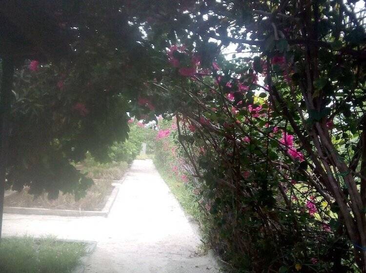 בית מלון כפרי Paipai Zanzibar