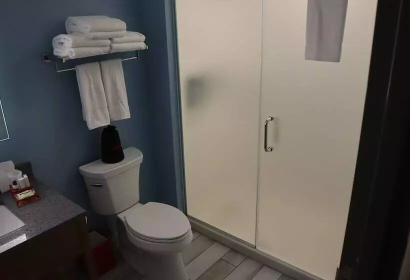 Hotelli The Alder At Resorts World Catskills