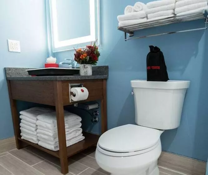 Hotelli The Alder At Resorts World Catskills