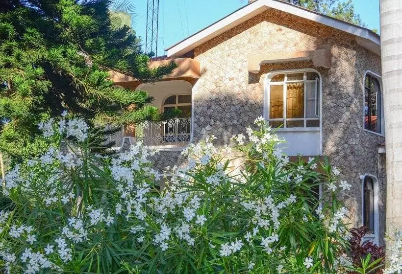 ユースホステル Mama Thea Homes