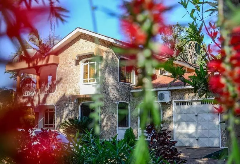 ユースホステル Mama Thea Homes