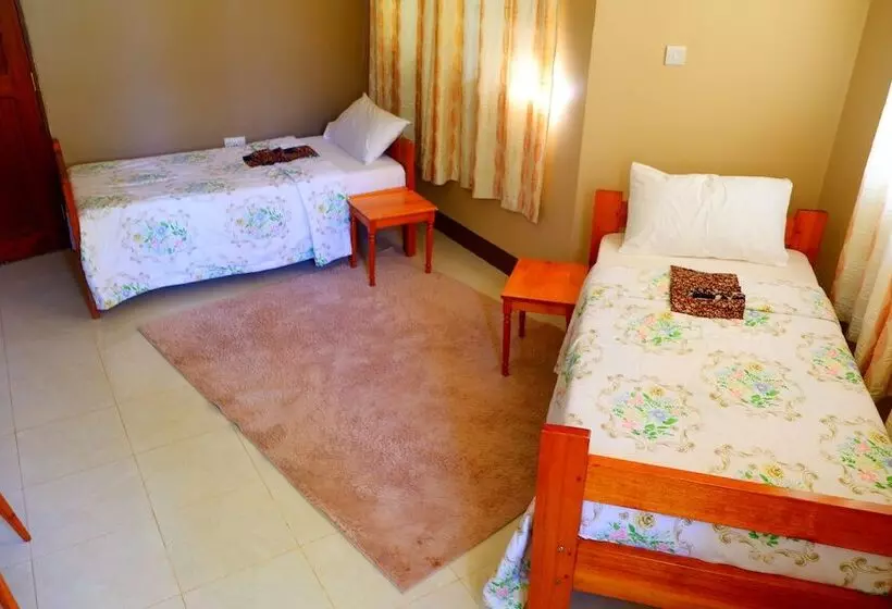 ユースホステル Mama Thea Homes