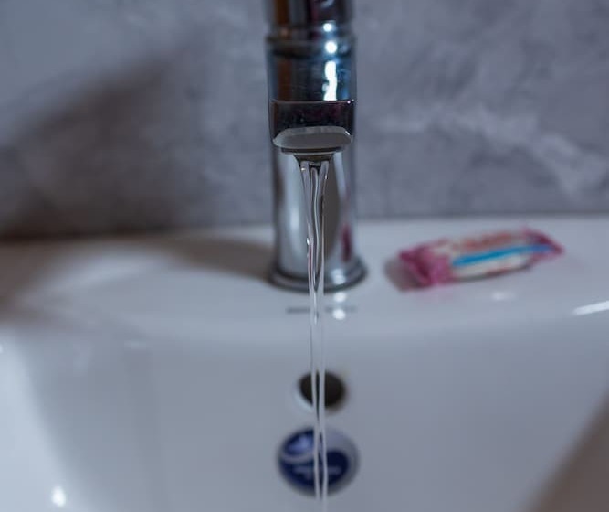 پانسیون Palm Gardens And Guest House