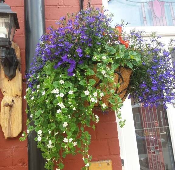 Pensionat St Hilda Guest House