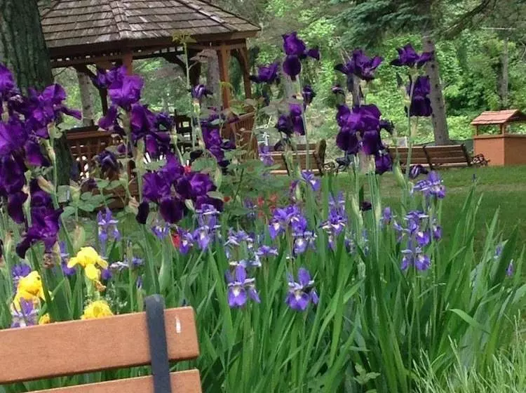 Resort Soyuzivka Heritage Center