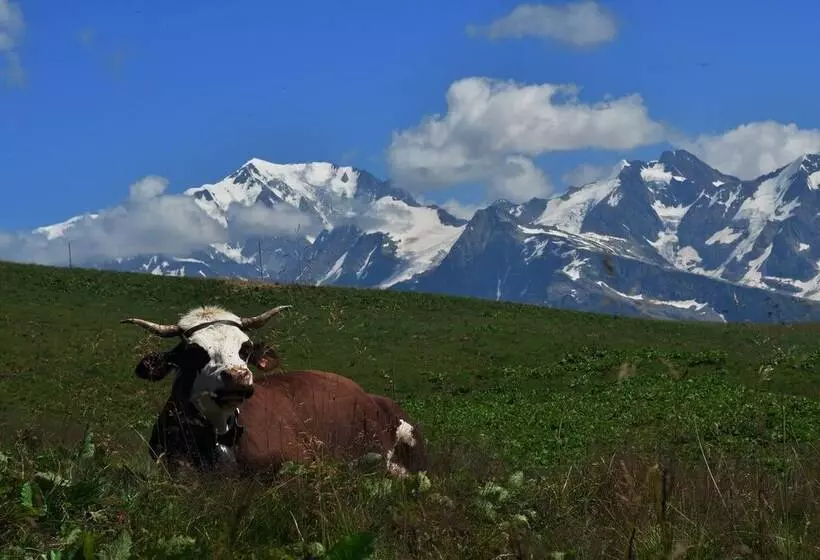 Aamiaismajoitus (B&B) Chambres D Hôtes   La Pora