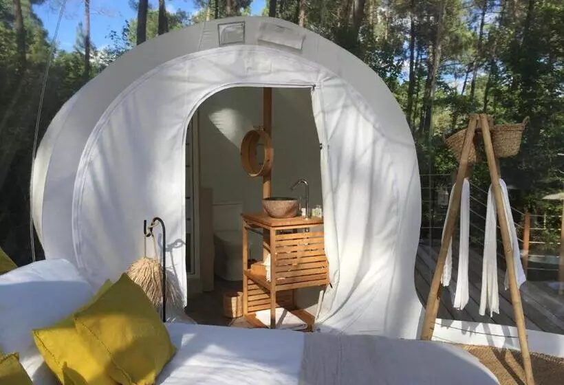 Aamiaismajoitus (B&B) Les Bulles De Bordeaux