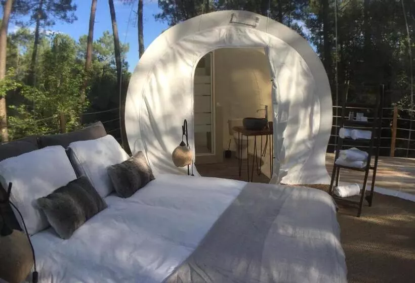 Aamiaismajoitus (B&B) Les Bulles De Bordeaux