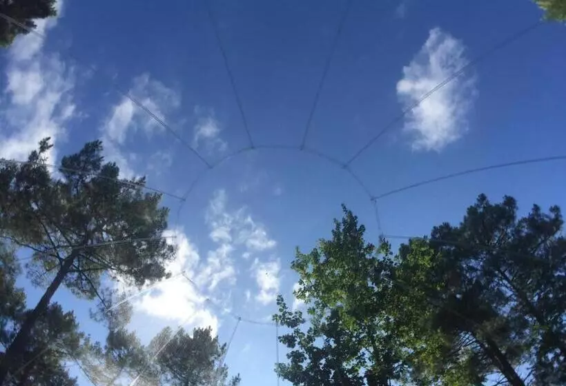 Aamiaismajoitus (B&B) Les Bulles De Bordeaux