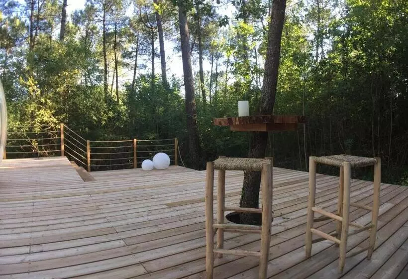 Aamiaismajoitus (B&B) Les Bulles De Bordeaux