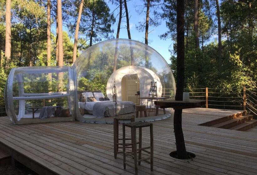 مبيت وإفطار Les Bulles De Bordeaux