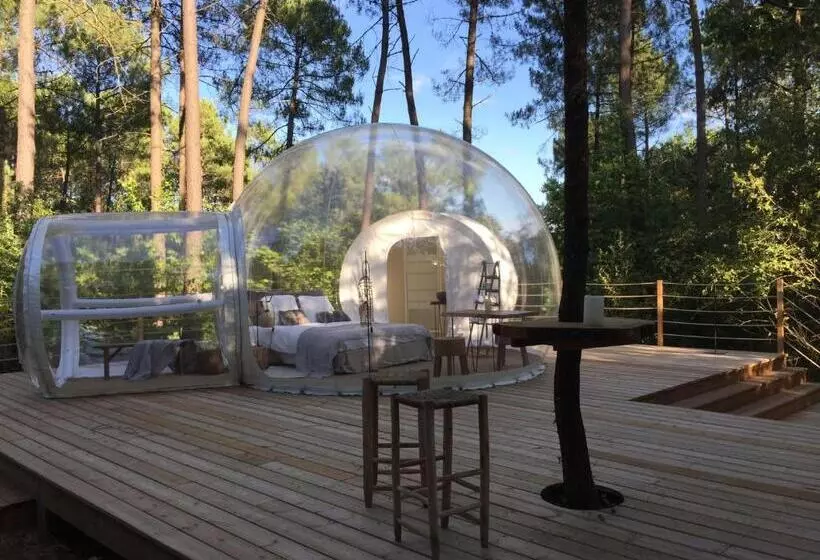 Aamiaismajoitus (B&B) Les Bulles De Bordeaux