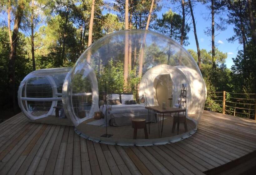 مبيت وإفطار Les Bulles De Bordeaux