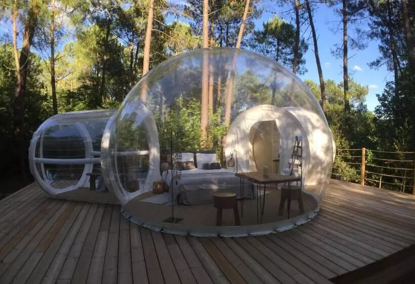 Aamiaismajoitus (B&B) Les Bulles De Bordeaux