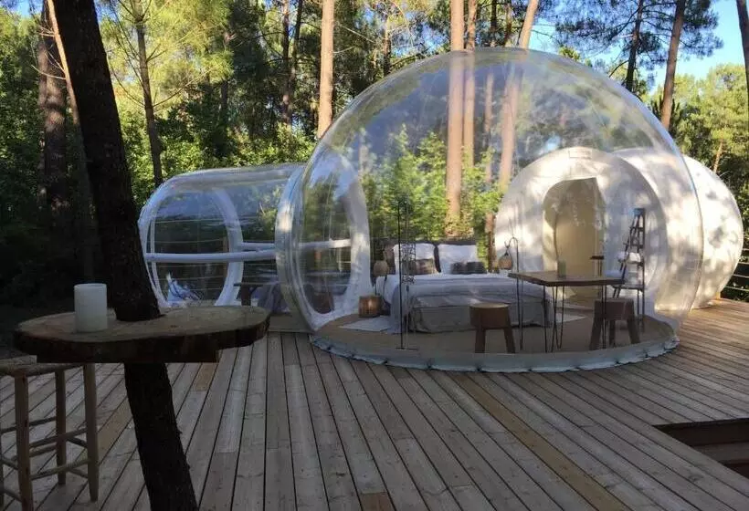 Aamiaismajoitus (B&B) Les Bulles De Bordeaux